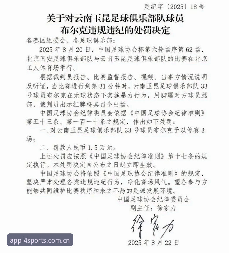 17人终身禁足与48人重罚：从足协第三批名单看中国足球治理的3重信号